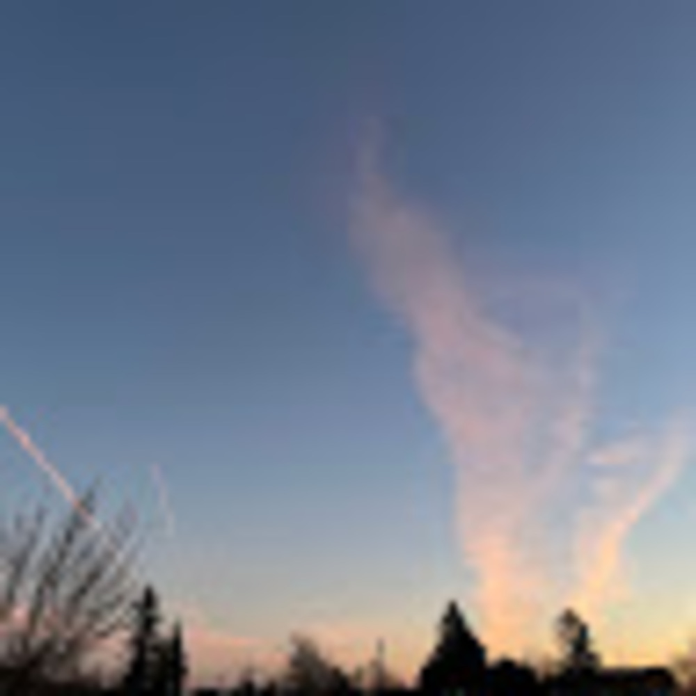 Meet your Posher, Lilah